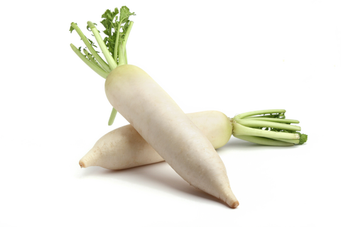Radish Hybrid